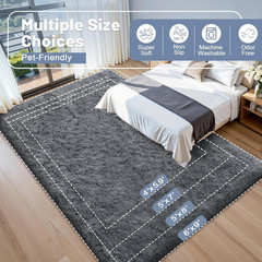 2×3 Machine Washable Small Bedside Rug, Soft Fluffy Shaggy Entryway Throw Rugs f