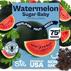 75 Sugar Baby Watermelon Seeds for Planting (Citrullus Lanatus) – Sweet Watermel