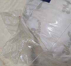 MyPillow Classic Bed Pillow Standard Queen White Cotton Cover Made in USA