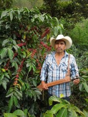 Mexican Oaxaca Coffee Beans Dark Roasted Daily 2 Bags 1 Pound Each