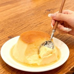 2Pcs Round Spoon Imitation Wood Handle Ice Cream Dessert Coffee Soup Spoons