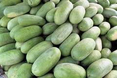 50 CHARLESTON GRAY WATERMELON Citrullus Lanatus Red Fruit Melon Seeds