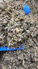 Elderflower Skullcap Passionflower Wild Lettuce Catnip Marsh Mullein No.76 Blend