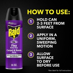 Raid Flea Killer Carpet & Room Spray, Kills hatching 16 Ounce (Pack of 1)