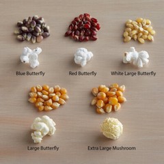 Bulk Reist Popcorn Kernels, Mushroom, Yellow and White Butterfly, Organic