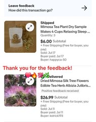Dried Silk Mimosa Tree Fragarant Pink Flowers Tea Tincture Albizia Julibrissin