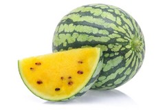20 Heirloom Yellow Petite Watermelon Seeds – 4-7LB Super Sweet Mini Yellow Melon