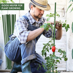 100 Pack 4 Ft/ 48 Inches Garden Plants Stakes Tomato Stakes Steel Metal Plant St