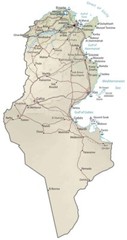 Tunisia Physical Map GLOSSY POSTER PICTURE PHOTO PRINT BANNER 13917