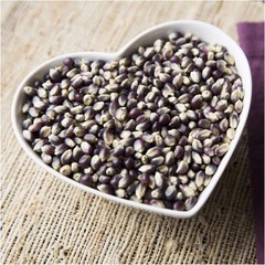 35 Organic Blue Hopi Corn Seed Non-GMO Heirloom- With Bonus!