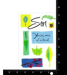 Nice ANYTIME Card FOR SON, “One of a Kind” by American Greetings + Envelope