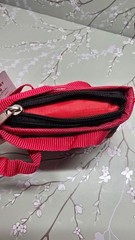 Trader Joe’s Red Trim Micro Tote With Grocery Bag 2 In 1 Mini Ltd Edition NWT