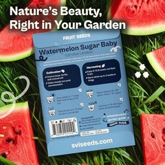 75 Sugar Baby Watermelon Seeds for Planting (Citrullus Watermelon Sugar Baby
