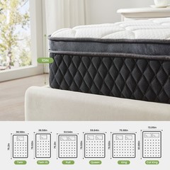 EDX Queen Hybrid Mattress, 10 Inch, Individually Pocketed Springs, Memory Foam,