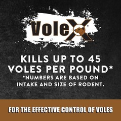 VoleX® – Kills All Species of Voles – Safe for Use Around People and Pets