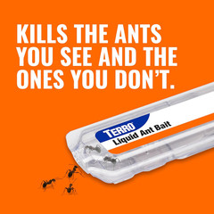 TERRO T300B Liquid Ant Killer Bait Stations 12-Pack – Indoor Ant Traps