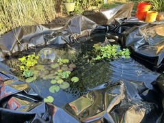 10x10FT Waterproof HDPE Pond Liner Pond Liners Fish Liner Gardens Landscaping US