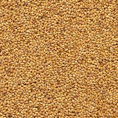 Toasted Sesame Seeds Whole Raw 100% Pure Natural Non-GMO, Kosher, Vegan Bulk