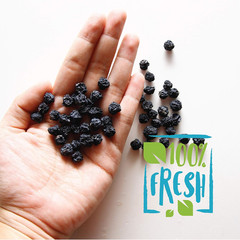 Herbaila Whole Dried Blueberries, No Sugar Added, Bulk, Dehydrated, Dried Unswee