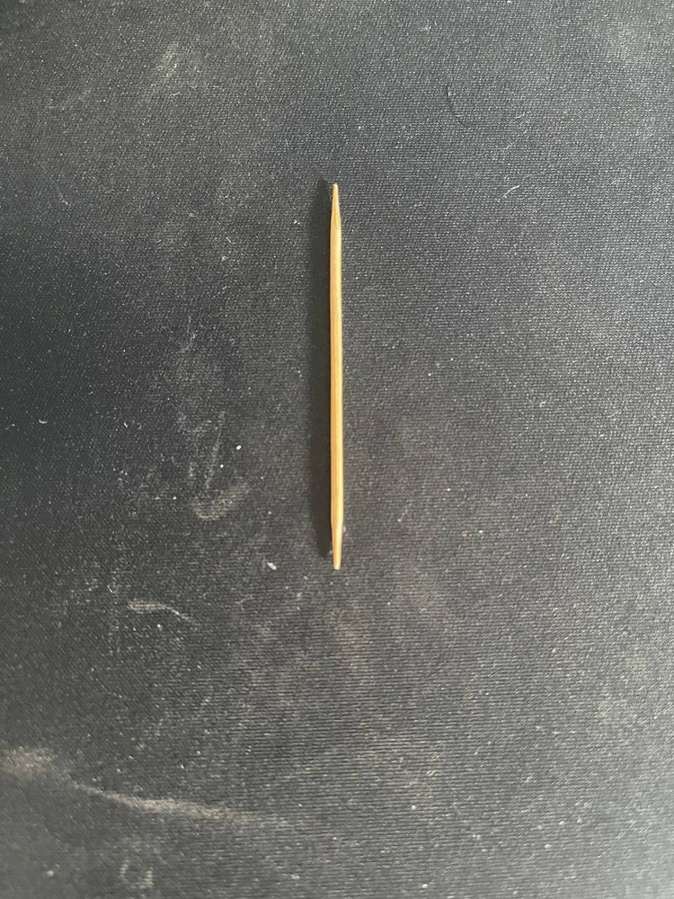 Used Bamboo Toothpick (1.5 in.)