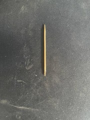 Used Bamboo Toothpick (1.5 in.)