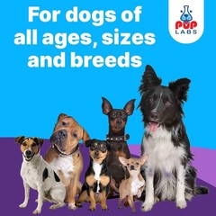 Freedom Joint Drops for Dogs with Hyaluronic Acid, MSM, Glucosamine, & Chondroit