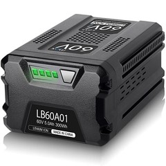 2pack 5.0Ah For Greenworks Pro 60Volt Max Tool Lithium-ion Battery LB605 LB60A01