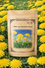 4000+ Dandelion Seeds for Planting – Heirloom Non-GMO Taraxacum Officinale Seeds
