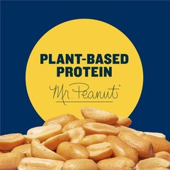 PLANTERS Dry Roasted Peanuts, Plant-Based Protein, 16 Ounce (Pack of 1)