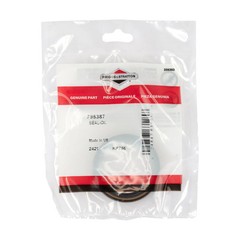 Briggs & Stratton Oil Seal | 795387