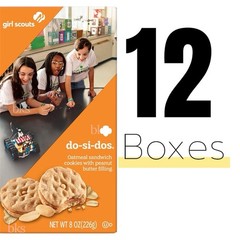 12 Boxes Girl Scouts Do Si Dos Cookies Oatmeal Peanut Butter Sandwich Lot Snack