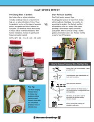 Slow Release Sachets – Neoseiulus californicus – Predatory Spider Mite Control