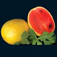 35 Organic Heirloom Golden Midget Watermelon Seeds – Fast Growing – Super Sweet!
