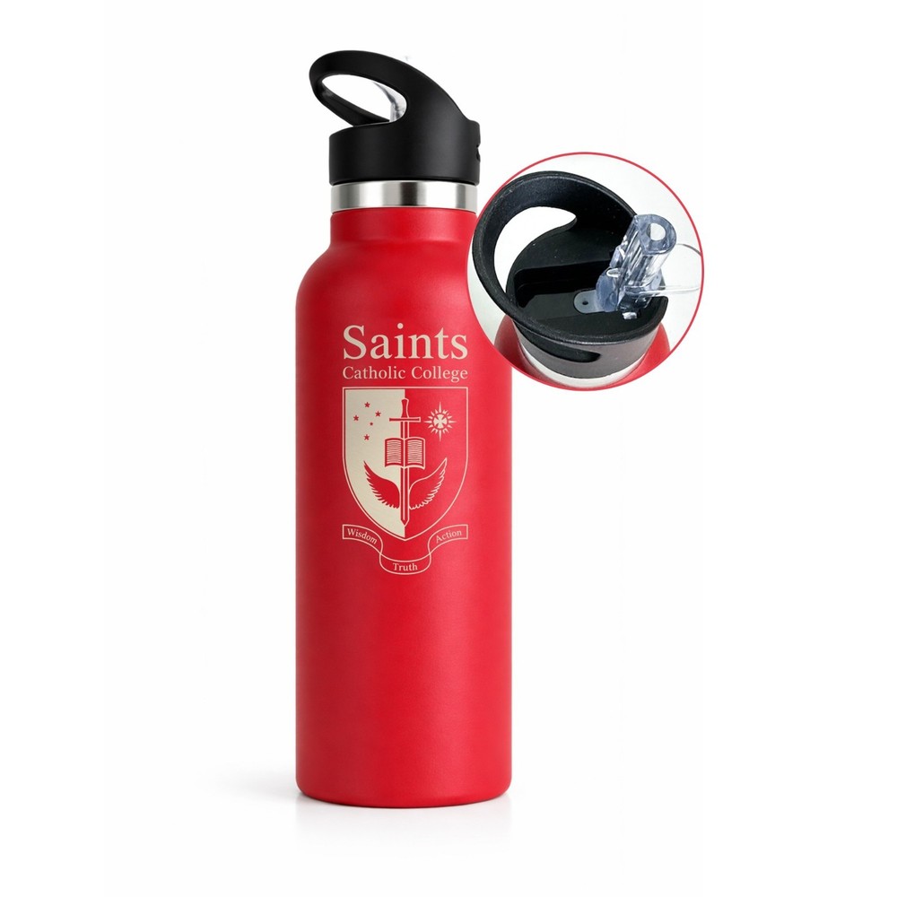 16oz Stainless Steel Insulated Water Bottle with Straw Lid Leakproof Travel Gym