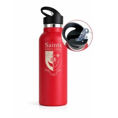 16oz Stainless Steel Insulated Water Bottle with Straw Lid Leakproof Travel Gym
