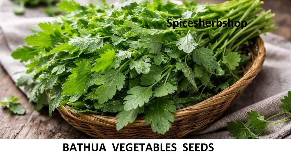 Bathua Seed for Planting | Chenopodium Seeds | Lamb’s Quarters | Winter Leafy Ve