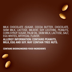 Milk Chocolate Bars, Share Size Bulk Pack – 24 Count, 3.29 Oz Each