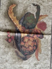 Anichini Set of 4 Linen Cotton Reversible Fruit Rectangular Placemats