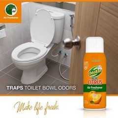 2-Pack OdoBan Real Citrus Orange Air Freshener 360 Continuous Spray, 10 Oz