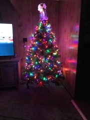 Musical Christmas Lights Plays 25 Songs 8 Function 140 Lights 31.2 Ft Multicolor