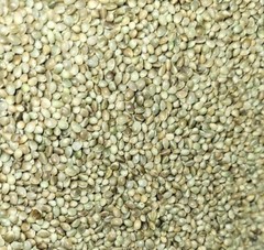 Premium Kosher Hemp Seed Nuts – 100% Food Grade & Nutrient-Rich!