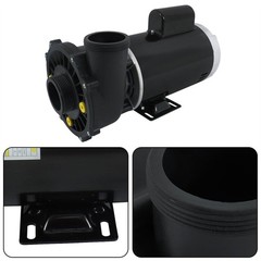 Executive 56-Frame 4HP Dual-Speed Spa Pump, 2in Intake, 2in Discharge