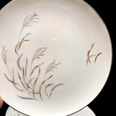 Norcrest AUTUMN BREEZE 10.25” Dinner Plates SET/4 Porcelain Silver Rim VTG Japan