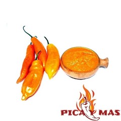 30 YELLOW AJI PERU CEVICHE CHILLI SEEDS SEEDS 100% GUARANTEED