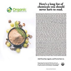 Organic Amla | 8 oz (226g) | Amalaki, Non-GMO, 100% Raw from India, by SHOPOSR