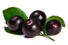 ACAI Assai powder berry 16oz 1lb Superfood, anti-aging, protein, fib, OMeg3 PAJE