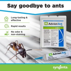 4 Tubes Advion Ant Bait Gel Pest Control sugar black etc ~Authorized By Syngenta