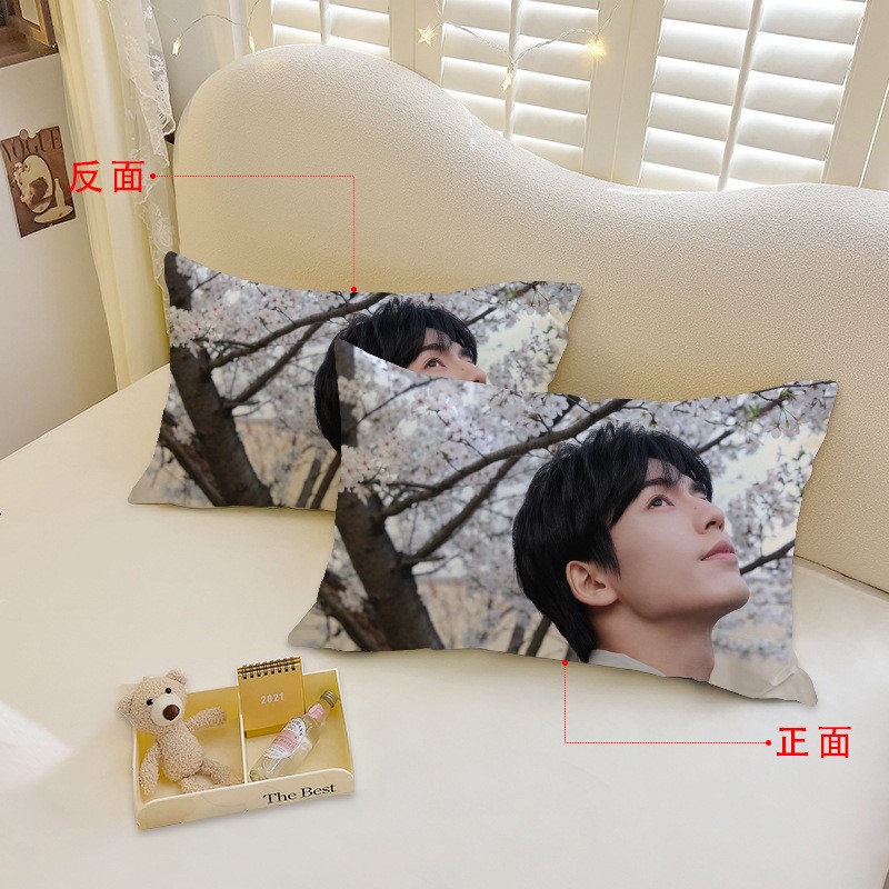 张凌赫 Zhang Linghe prints pillow cover Cushion Cover Room Pillowcase