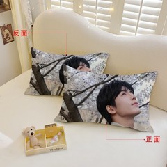 张凌赫 Zhang Linghe prints pillow cover Cushion Cover Room Pillowcase