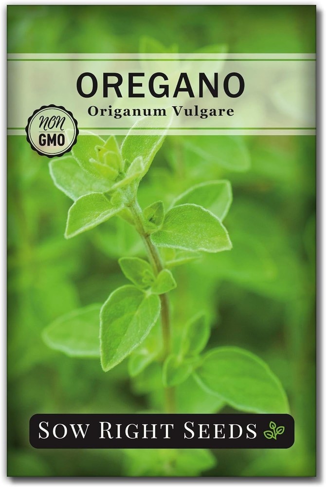 Fragrant Oregano Seeds for Indoor/Outdoor Gardening – Germinates in 7-14 Days